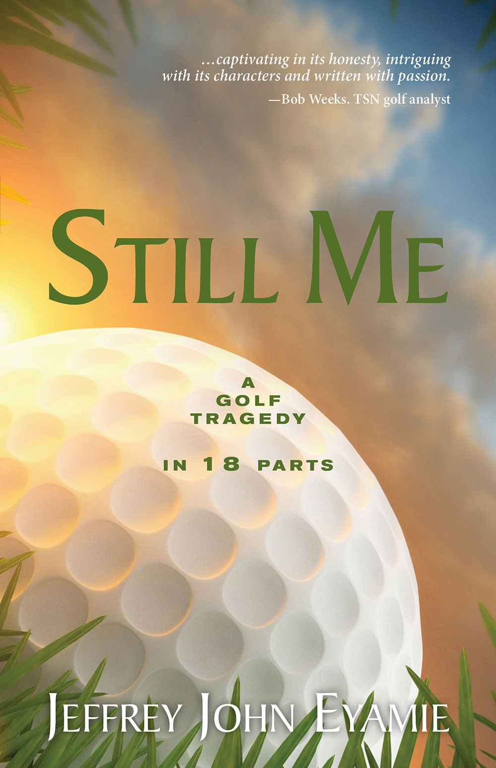 cover: Stil Me by Jeffrey John Eyamie