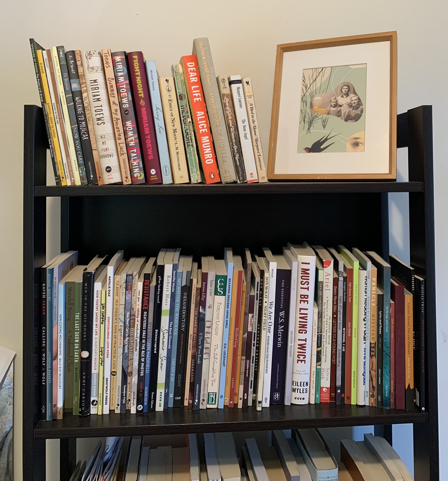 Sarah's favourite books and a framed alternative cover for Flyway created by Jonathan Dyck Sarah's favourite books and a framed alternative cover for Flyway created by Jonathan Dyck